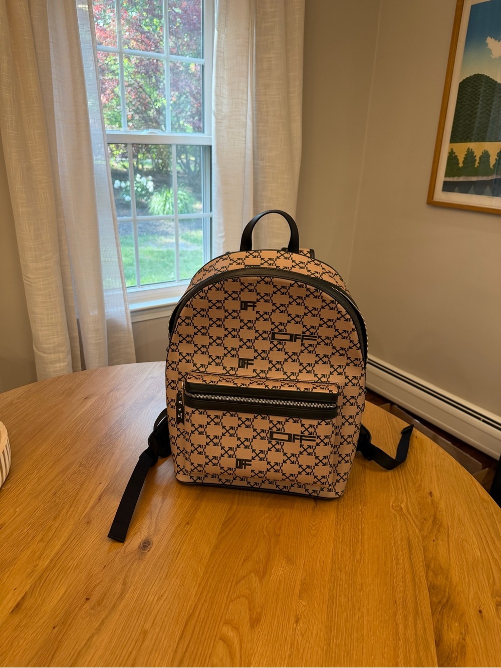 Off-White Brand Back Pack - authentic and an excellent condition - Picture 2 of 12